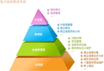 電子商務(wù)職業(yè)生涯